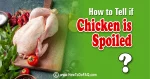 Recognize if the Chicken is Spoiled 1